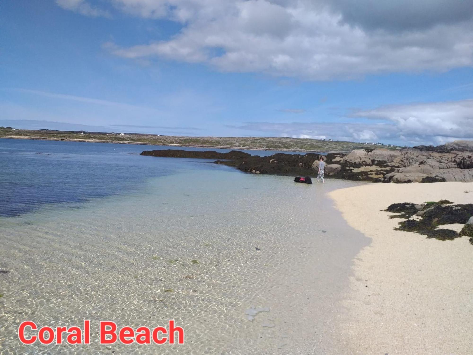 Camus Eighter Connemara Lake View Apartment מראה חיצוני תמונה