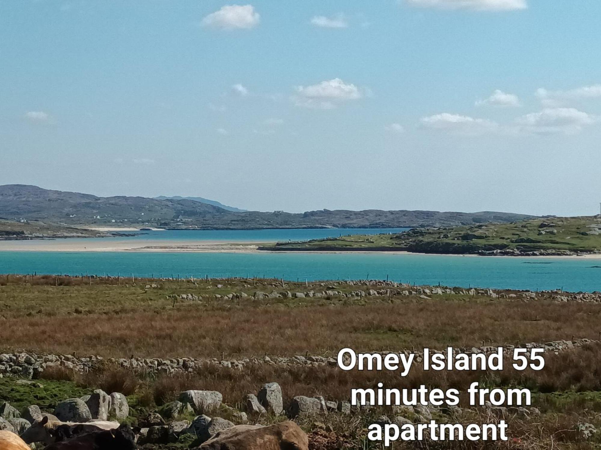 Camus Eighter Connemara Lake View Apartment מראה חיצוני תמונה
