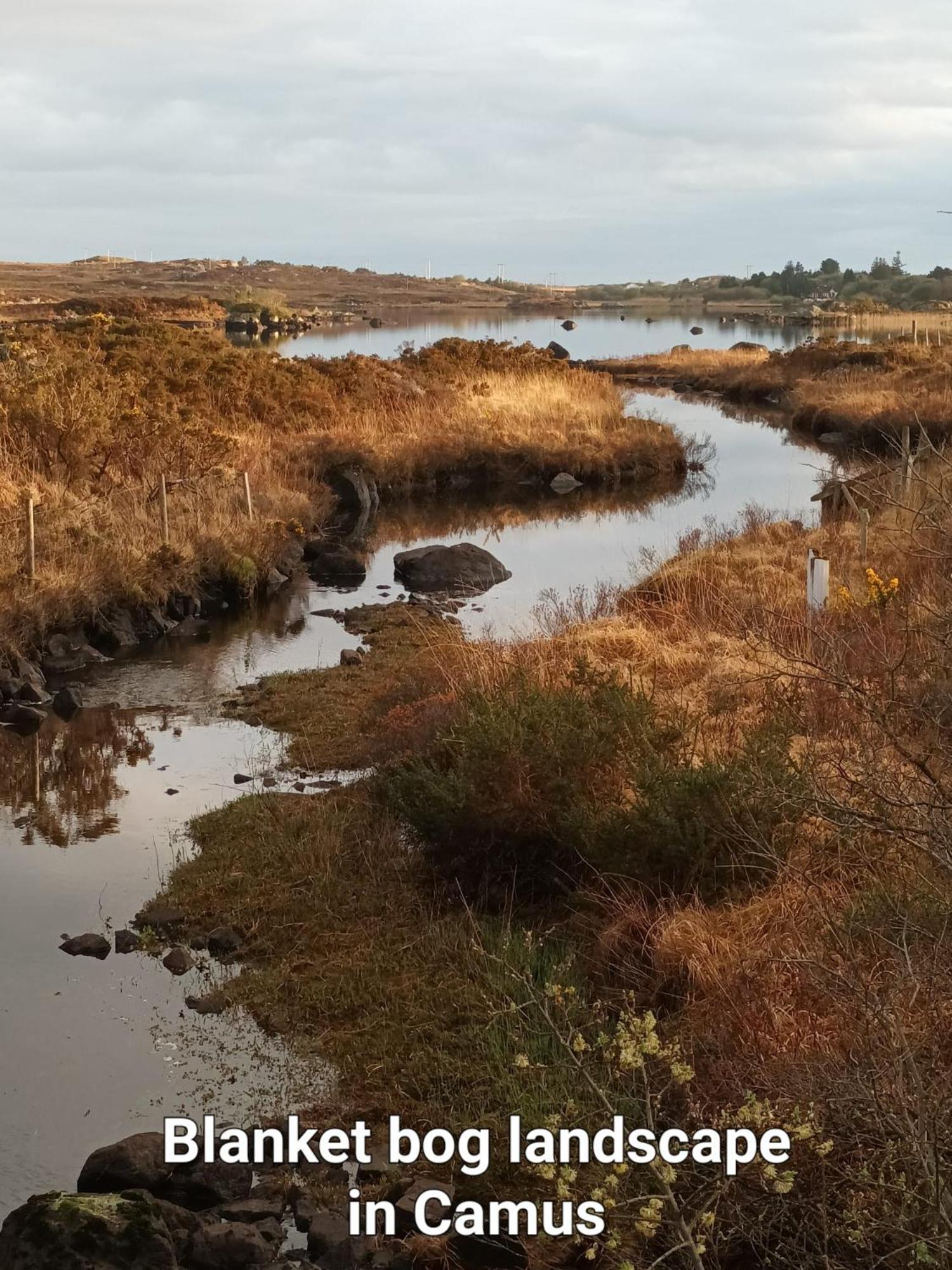 Camus Eighter Connemara Lake View Apartment מראה חיצוני תמונה